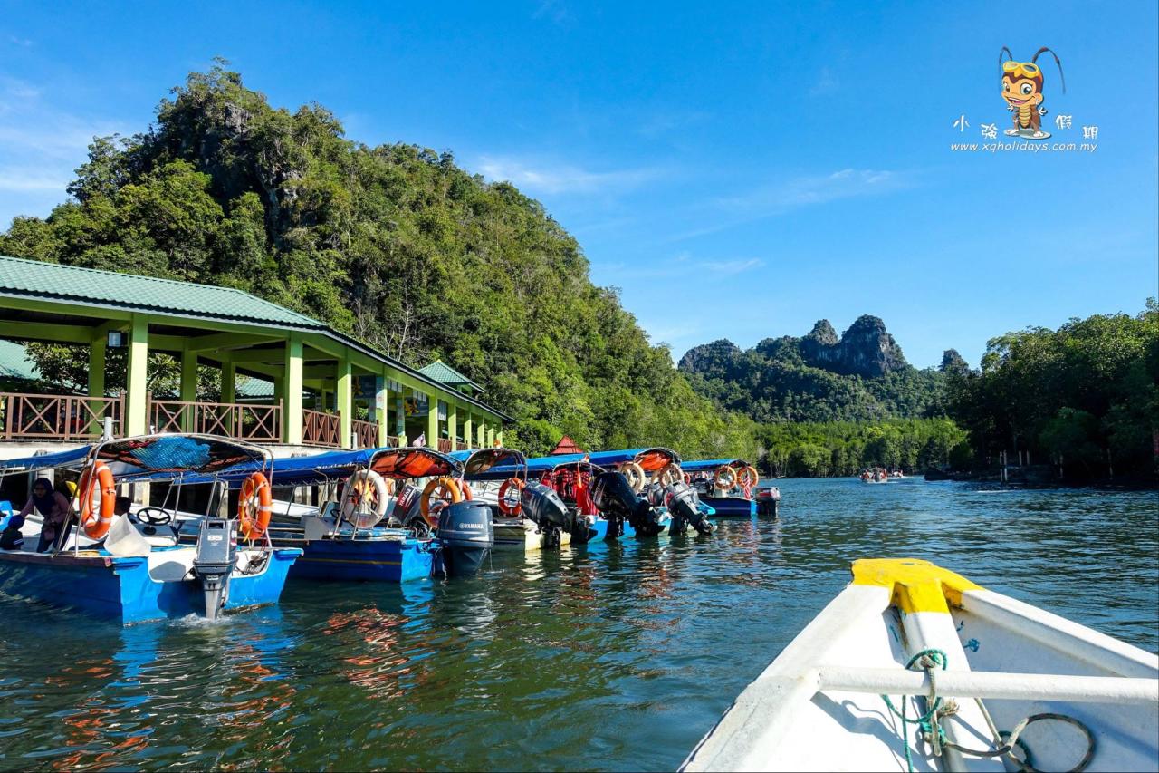 Jelajahi Mangrove Langkawi: Petualangan Alam yang Tak Terlupakan